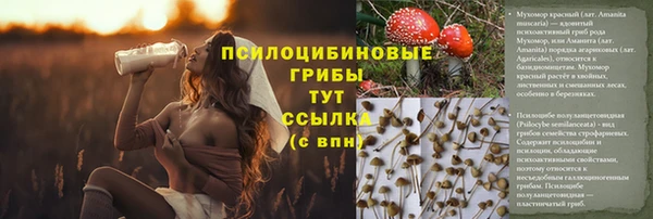герыч Елабуга