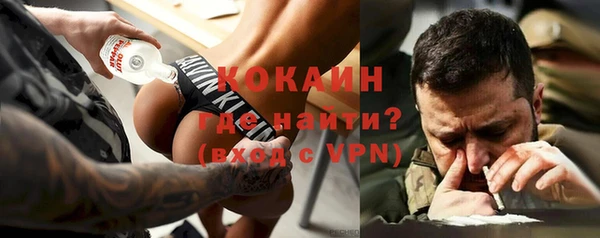 метадон Ельня
