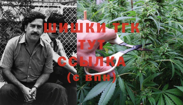 метадон Ельня