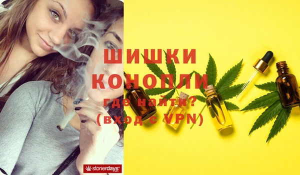 прущие крисы Елизово