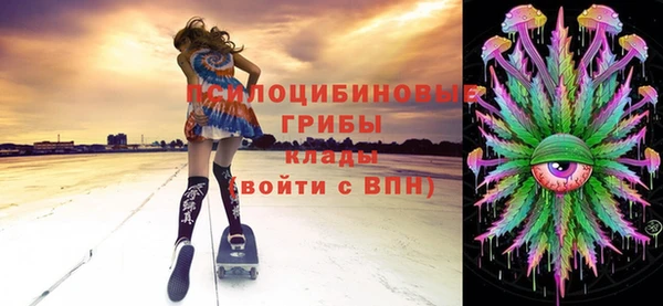метадон Ельня