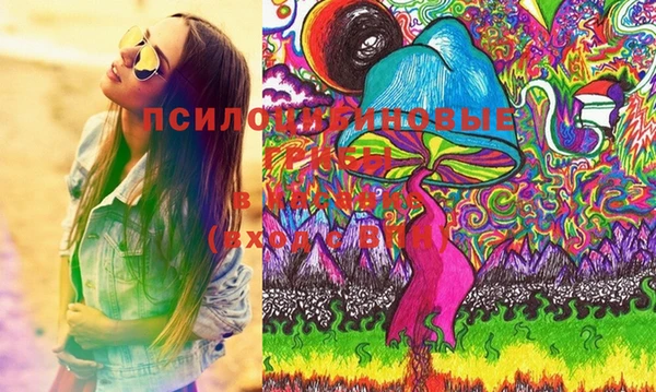 прущие крисы Елизово