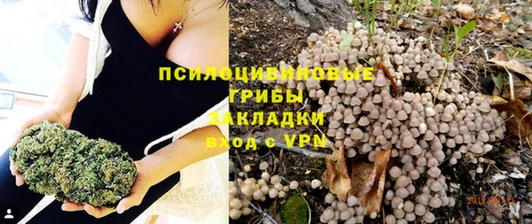 герыч Елабуга