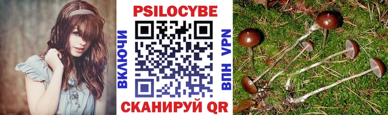 Галлюциногенные грибы GOLDEN TEACHER  kraken   Задонск 